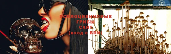 дурь Балахна