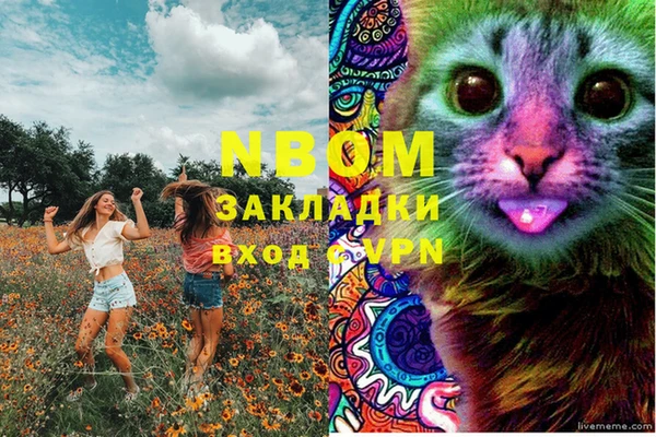 дурь Балахна